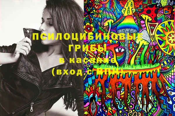 индика Алзамай