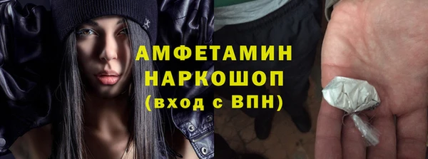 индика Алзамай