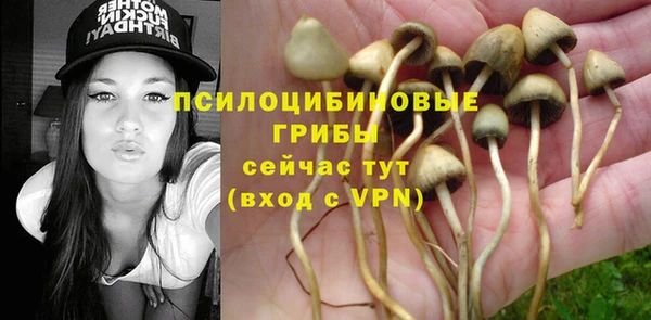 индика Алзамай