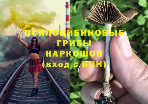 индика Алзамай